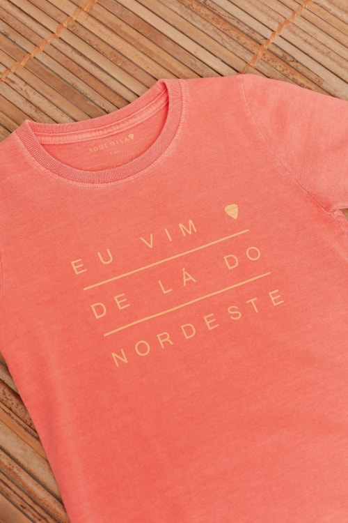 CAMISETA EU VIM DE LÁ DO NORDESTE CLÁSSICA-d7f7583a-8a9d-4303-85da-bcaf9c5ee3af